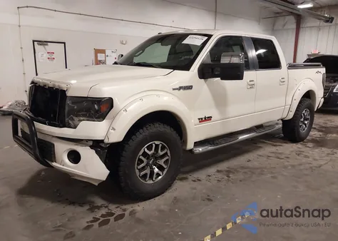 2009 Ford F-150 Fx4/King Ranch/Lariat/Platinum/Xl/Xlt from USA, damaged, VIN 1FTPW14V79FA87480